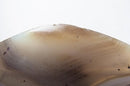 Antique Miscellaneous Goods X1006