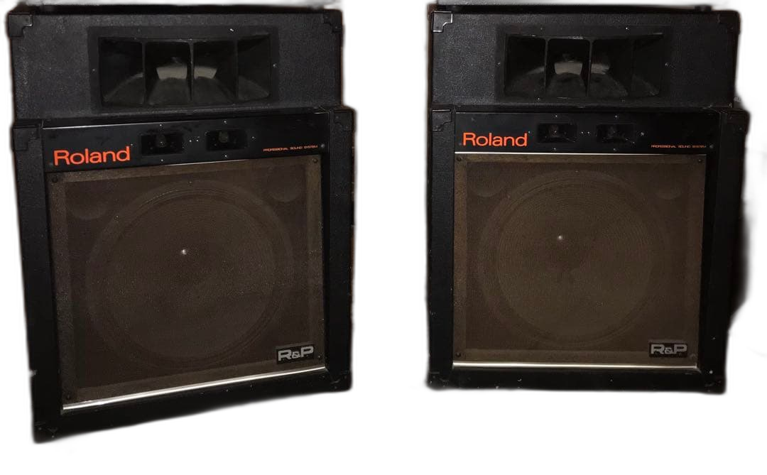 Roland Speaker R&P Sst-120 2