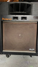 Roland Speaker R&P Sst-120 2