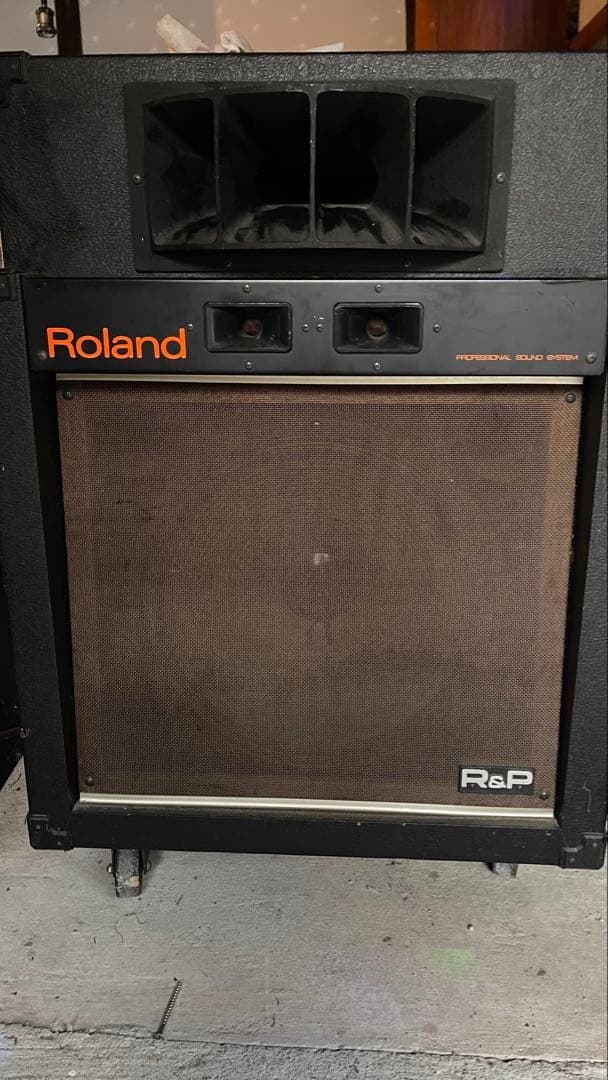 Roland Speaker R&P Sst-120 2
