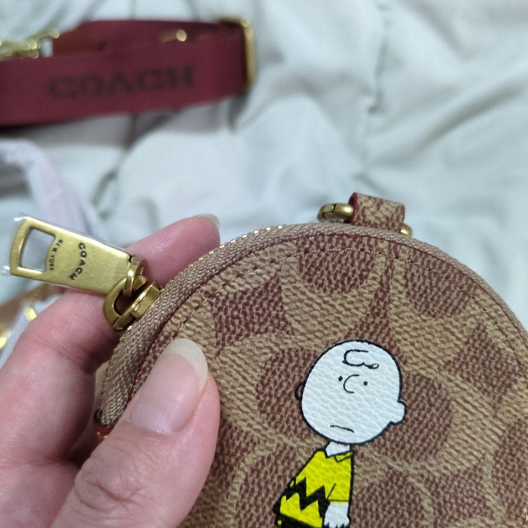 Coach Tote Bags X Peanuts 18 Snoopy