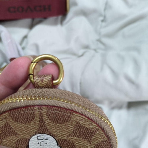 Coach Tote Bags X Peanuts 18 Snoopy