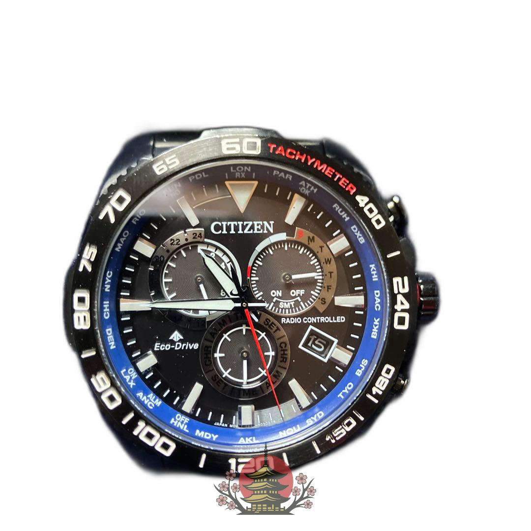 Citizen Others Wena 3 Promaster Edition