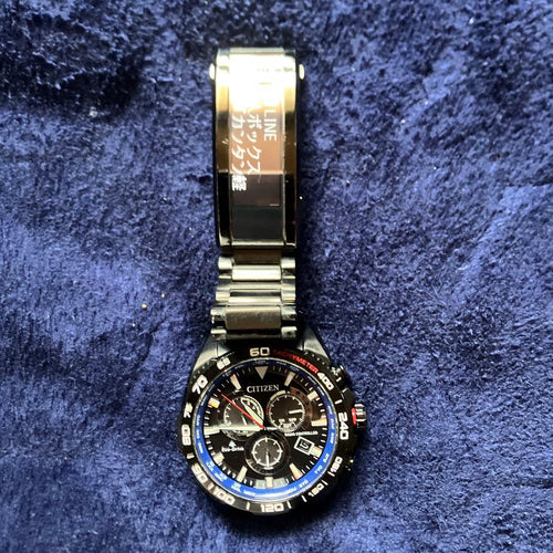 Citizen Others Wena 3 Promaster Edition