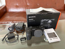 Sony Mirrorless Interchangeable Lens Cameras 6600