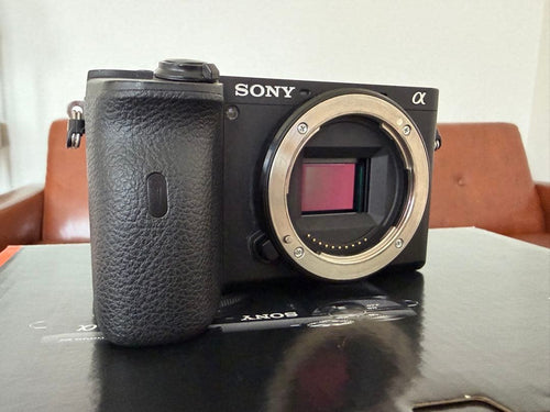 Sony Mirrorless Interchangeable Lens Cameras 6600