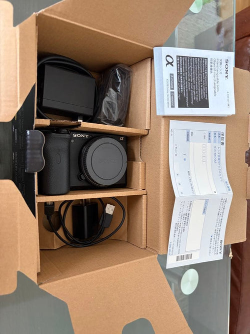 Sony Mirrorless Interchangeable Lens Cameras 6600