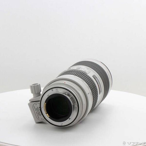 Canon Lens (Zoom) Ef70-200Mm F2.8L Is Iii Usm 262