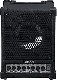 Pick Up Roland Cube Monitor 30W Cm-30