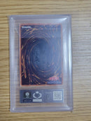 Yu-Gi-Oh! Ocg Duel Monsters (Foreign Languages) 25Th Ars9