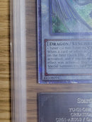 Yu-Gi-Oh! Ocg Duel Monsters (Foreign Languages) 25Th Ars9