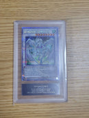 Yu-Gi-Oh! Ocg Duel Monsters (Foreign Languages) 25Th Ars9