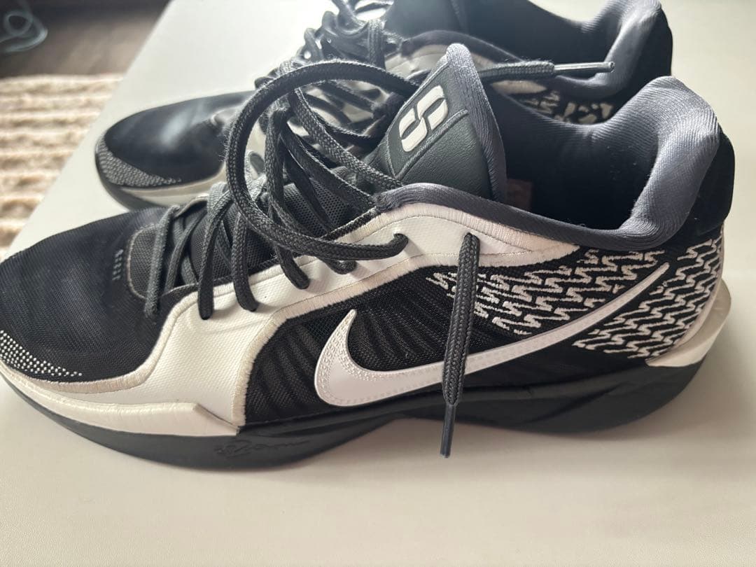 Nike Shoes (Men)