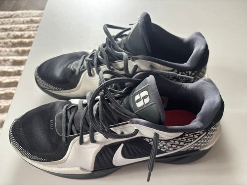 Nike Shoes (Men)