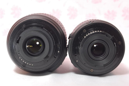 Canon Digital Slrs Nikon D3300