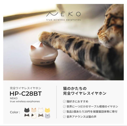 Radius Wireless Earphones Neko Hp-C28Bt