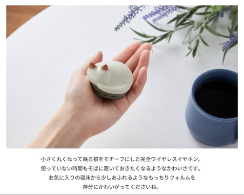 Radius Wireless Earphones Neko Hp-C28Bt