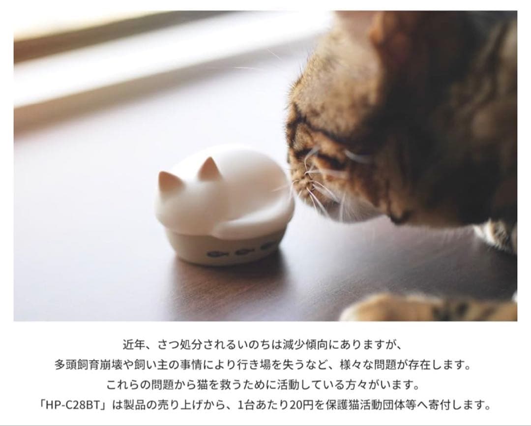 Radius Wireless Earphones Neko Hp-C28Bt