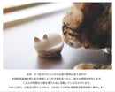 Radius Wireless Earphones Neko Hp-C28Bt