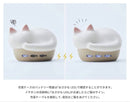 Radius Wireless Earphones Neko Hp-C28Bt