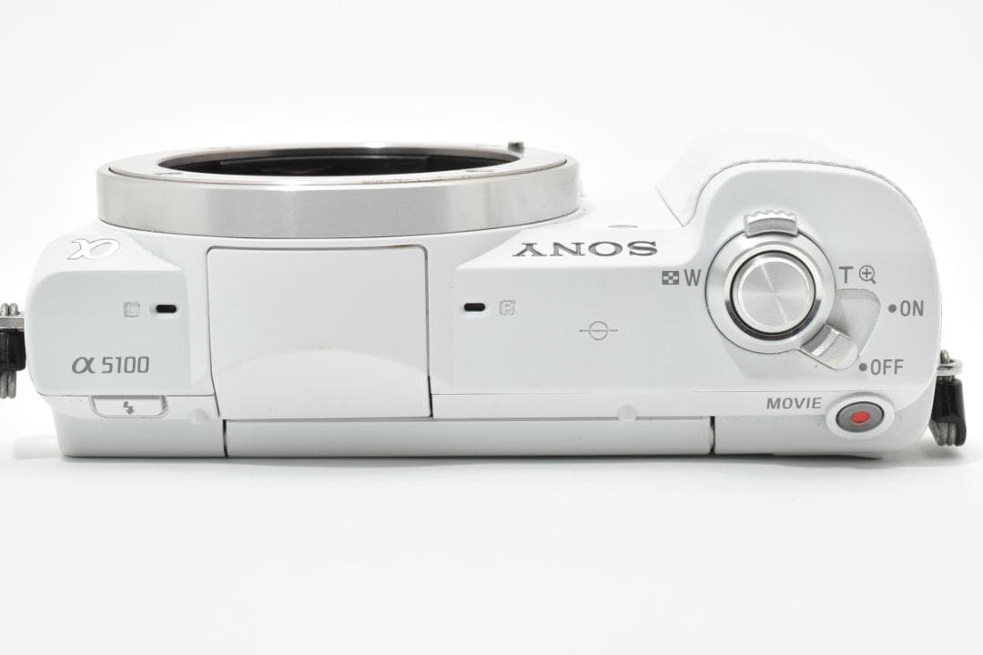 Sony Mirrorless Interchangeable Lens Cameras Ilce-5100 5100