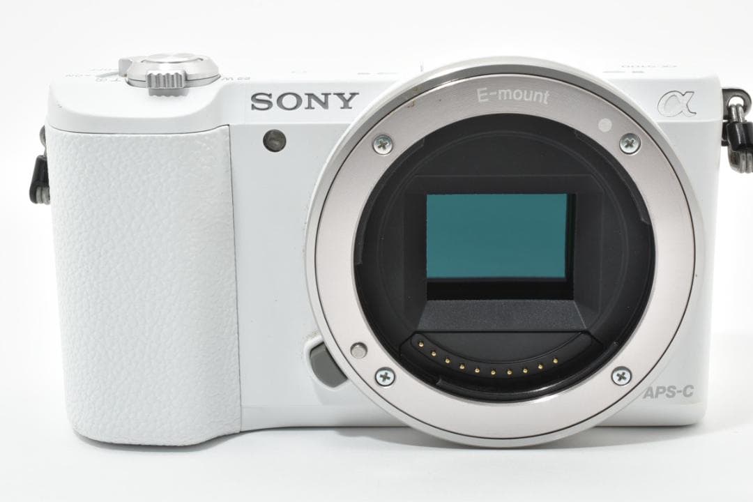 Sony Mirrorless Interchangeable Lens Cameras Ilce-5100 5100