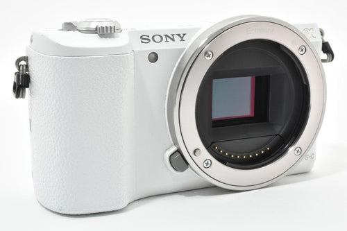 Sony Mirrorless Interchangeable Lens Cameras Ilce-5100 5100