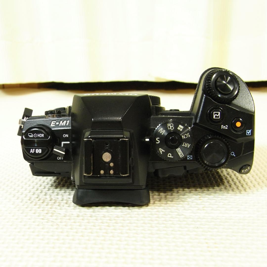 Olympus Mirrorless Interchangeable Lens Cameras Om-D E-M1
