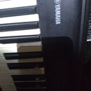Yamaha Keyboards Digital Pianos Np Piaggro