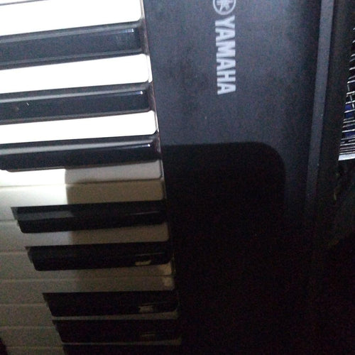 Yamaha Keyboards Digital Pianos Np Piaggro