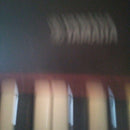 Yamaha Keyboards Digital Pianos Np Piaggro