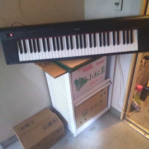 Yamaha Keyboards Digital Pianos Np Piaggro