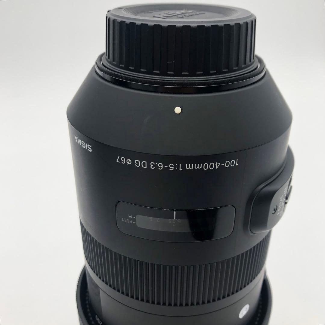 Sigma Lens (Zoom) R 100-400Mm F/5-6.3 Dg