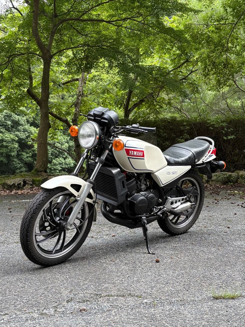 Motorcycle Frames Yamaha Rz250