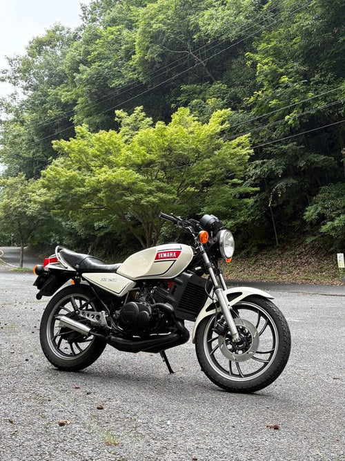 Motorcycle Frames Yamaha Rz250