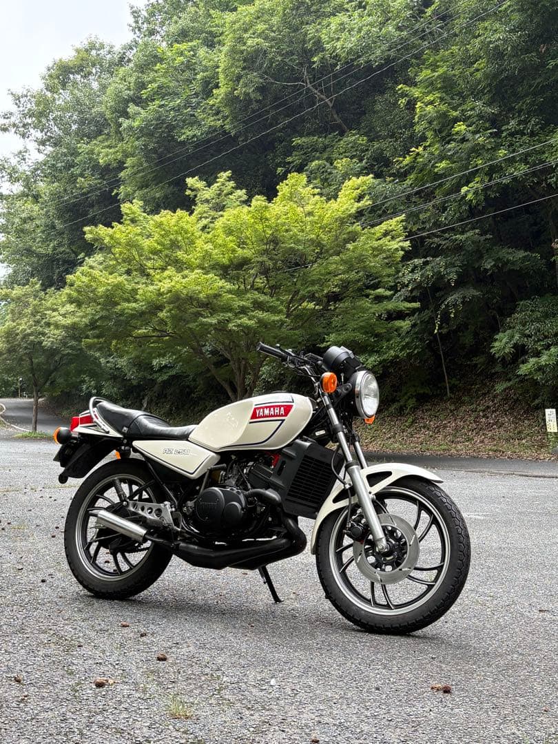 Motorcycle Frames Yamaha Rz250