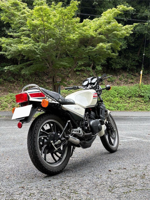 Motorcycle Frames Yamaha Rz250