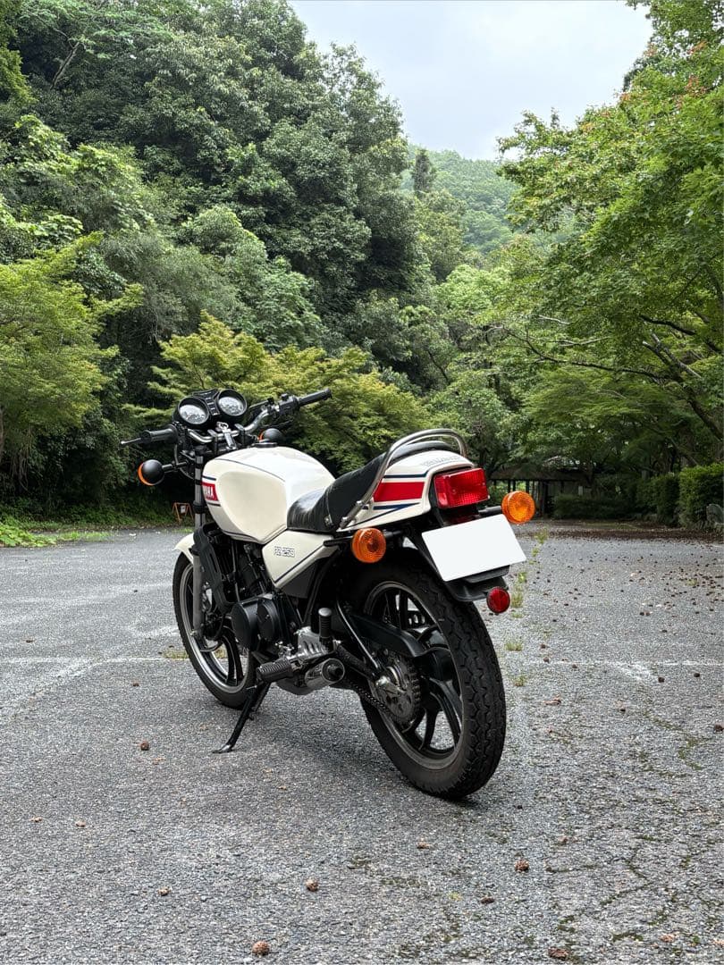 Motorcycle Frames Yamaha Rz250