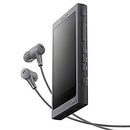 Others A 16Gb Nw-A45Hn Bluetooth/Microsd/ 39 2017