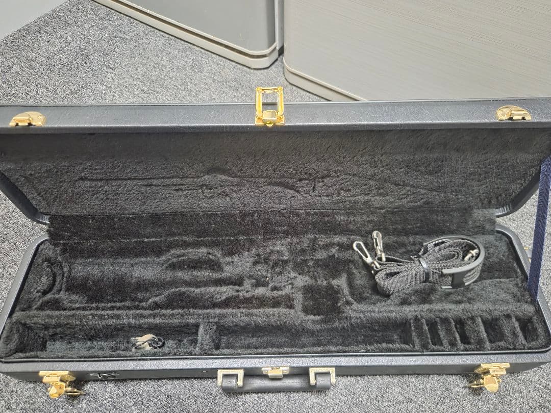 Saxophone Cases