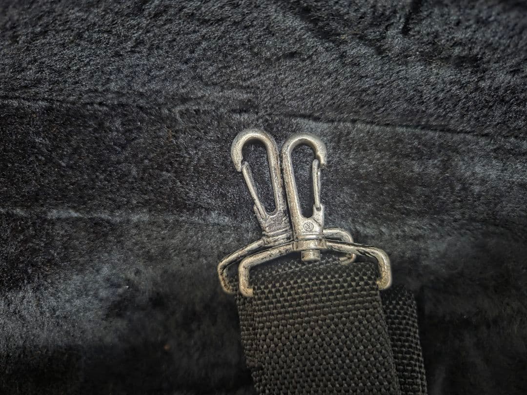 Saxophone Cases