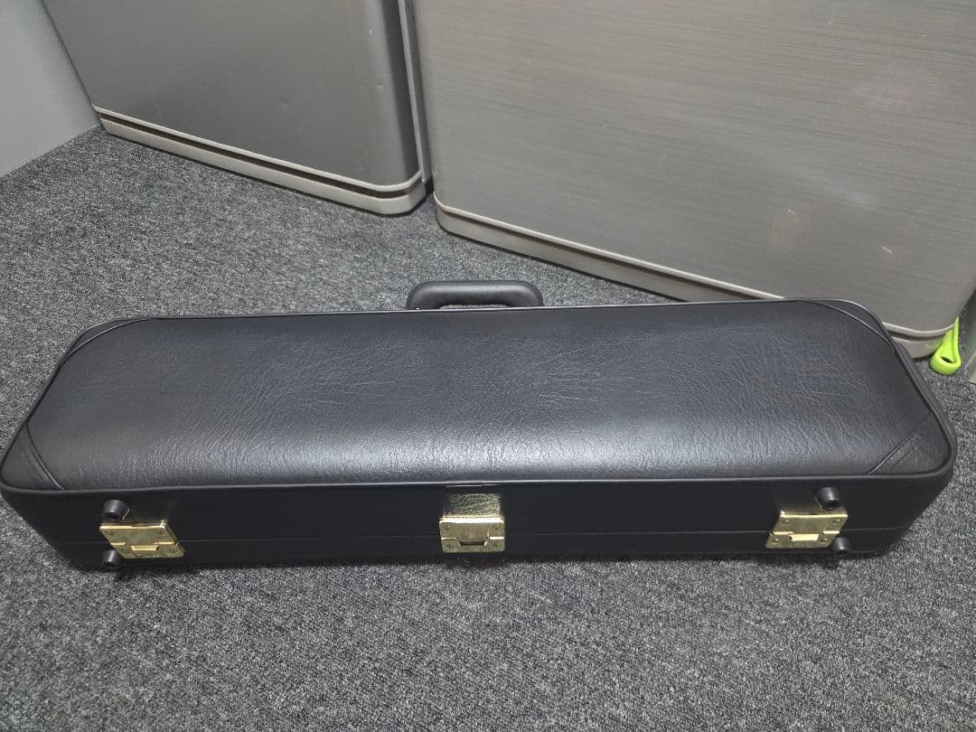 Saxophone Cases