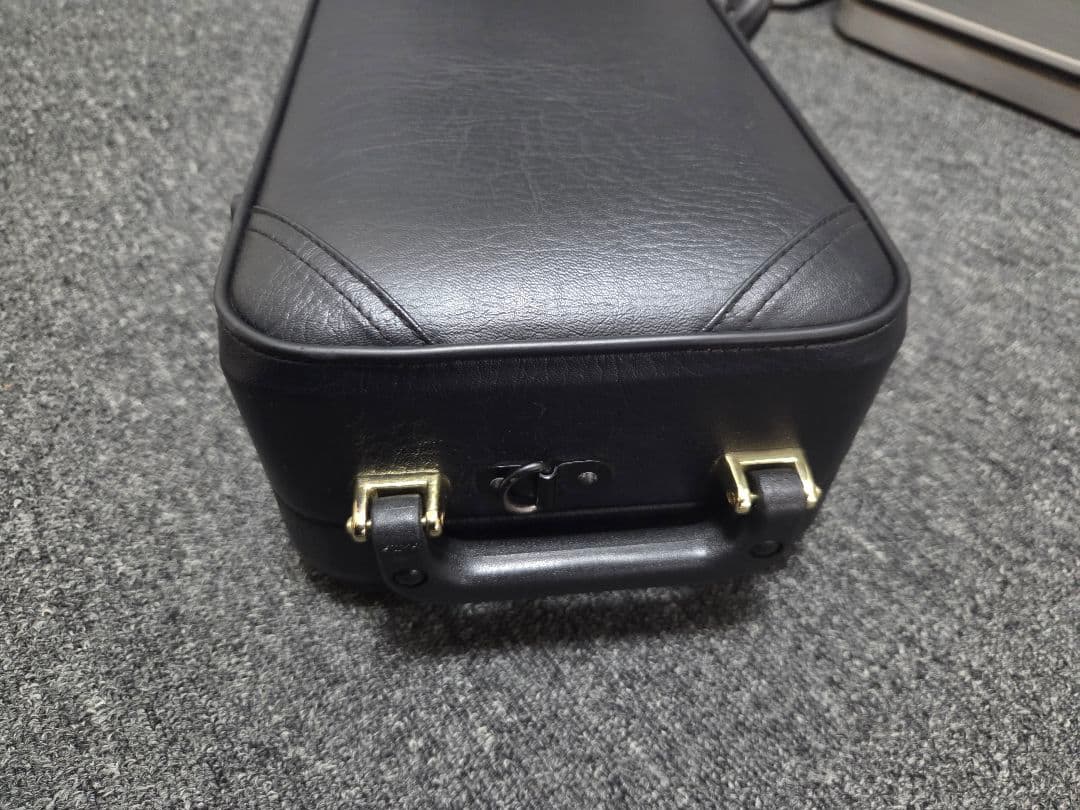 Saxophone Cases