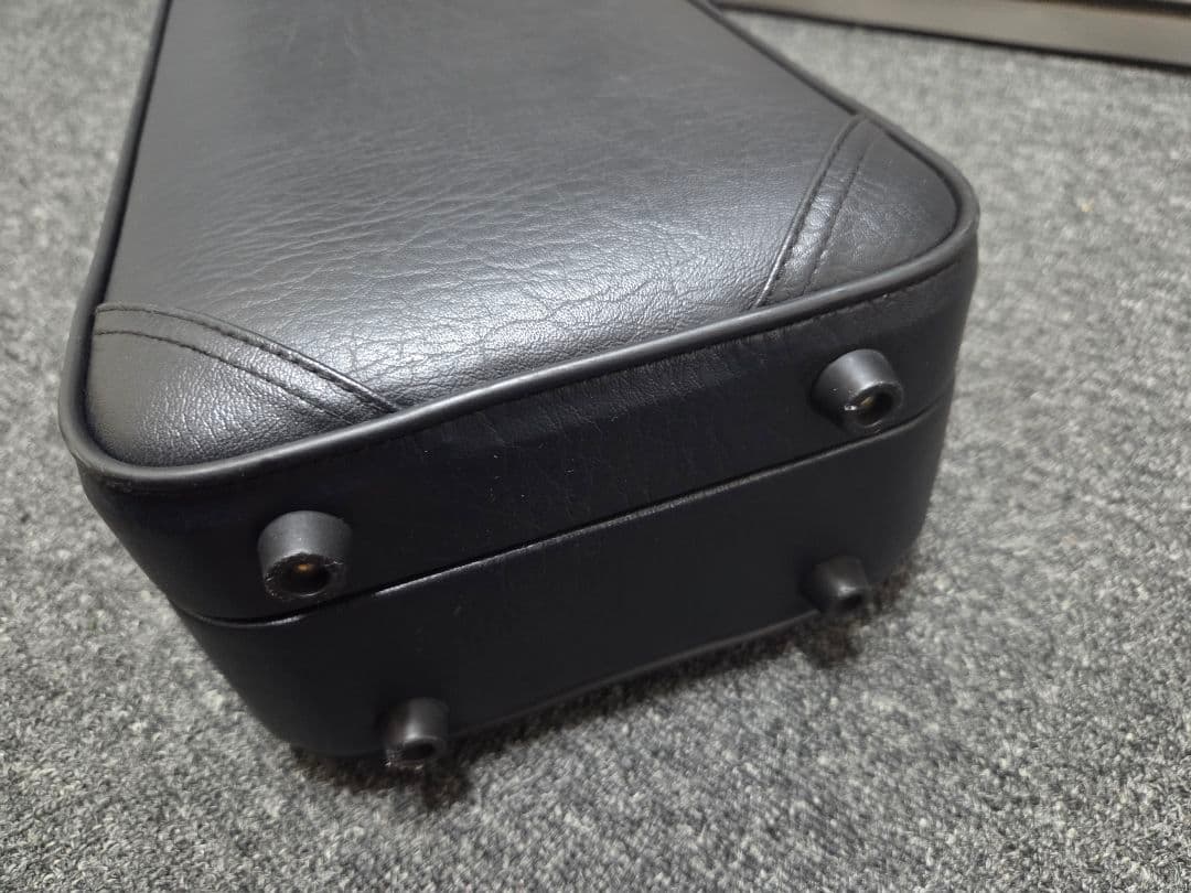 Saxophone Cases