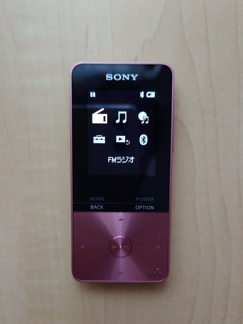 Sony Digital Audio Players Nw-S313