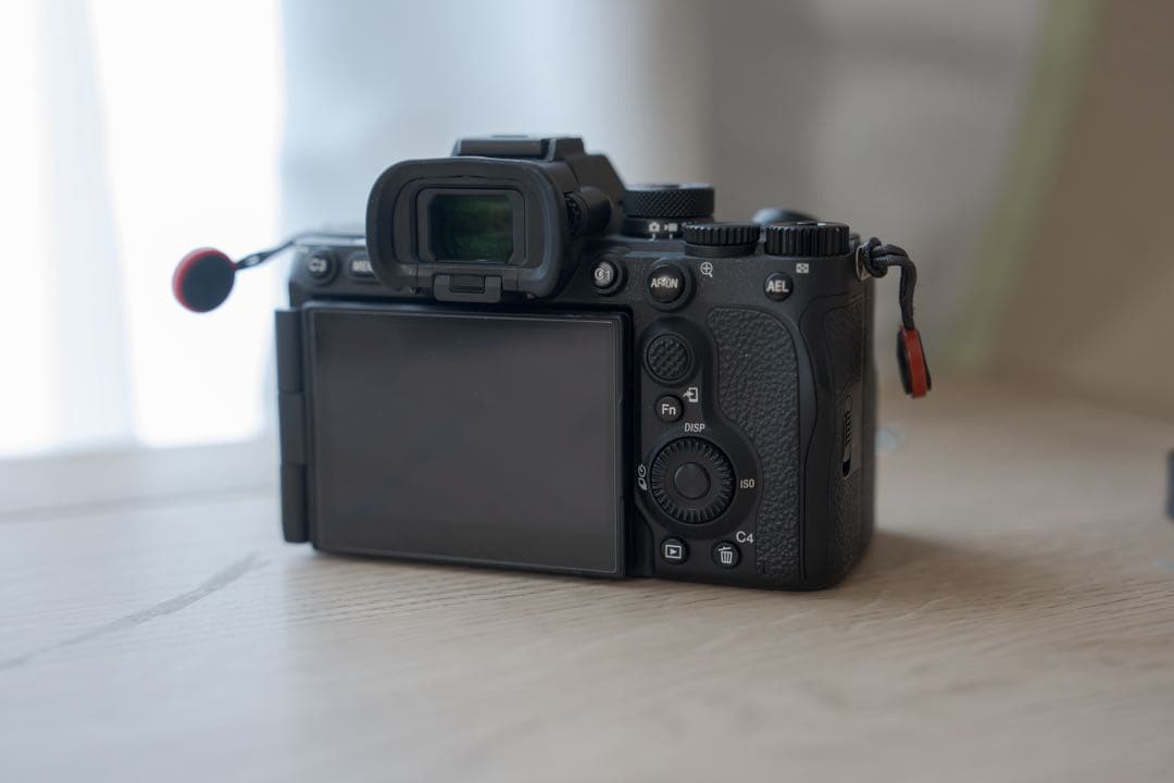 Sony Mirrorless Interchangeable Lens Cameras 7Rv 33688