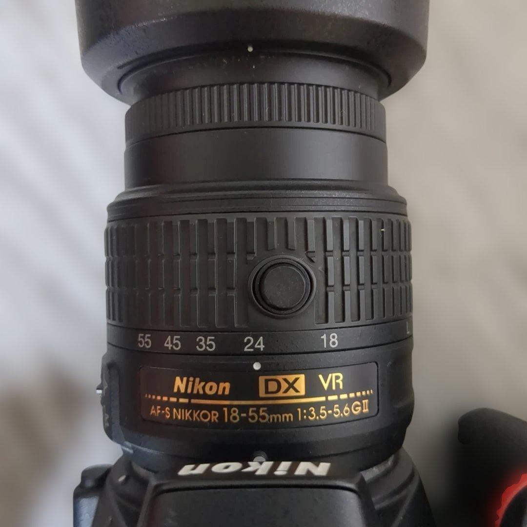 Nikon Digital Slrs