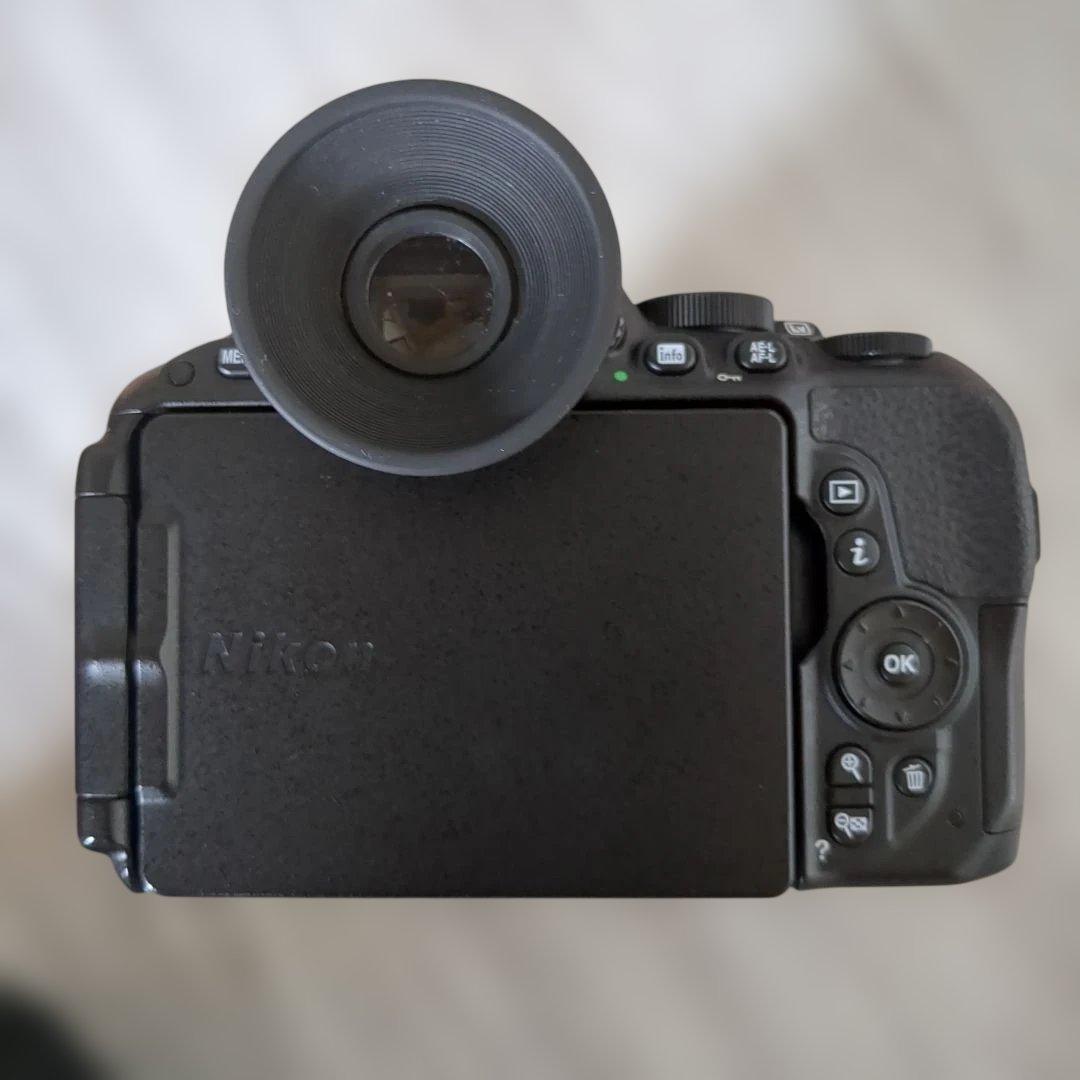 Nikon Digital Slrs