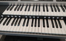 Keyboards Digital Pianos Yamaha Els-02