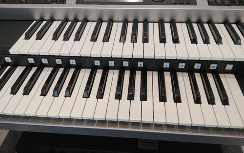 Keyboards Digital Pianos Yamaha Els-02